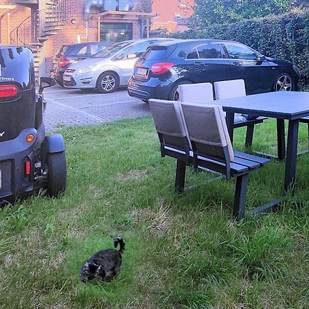 Logeerkamer Xxl 25 M2 Zemst Eksteriør bilde